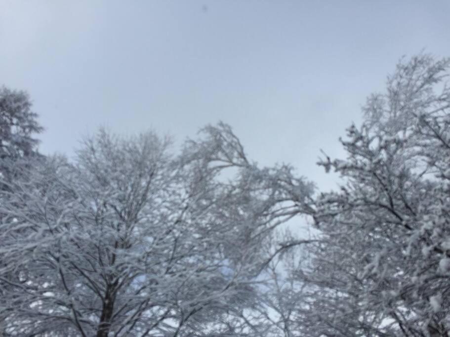 乗鞍高原の宿テンガロンハットb&Btengallonhat Matsumoto Dış mekan fotoğraf