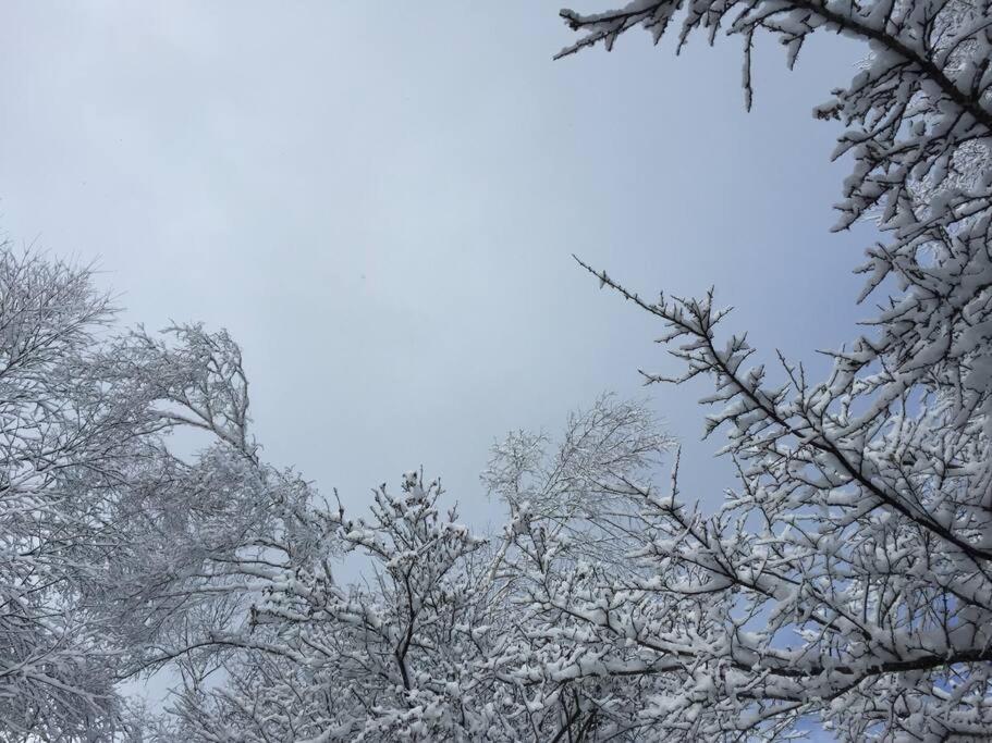 乗鞍高原の宿テンガロンハットb&Btengallonhat Matsumoto Dış mekan fotoğraf