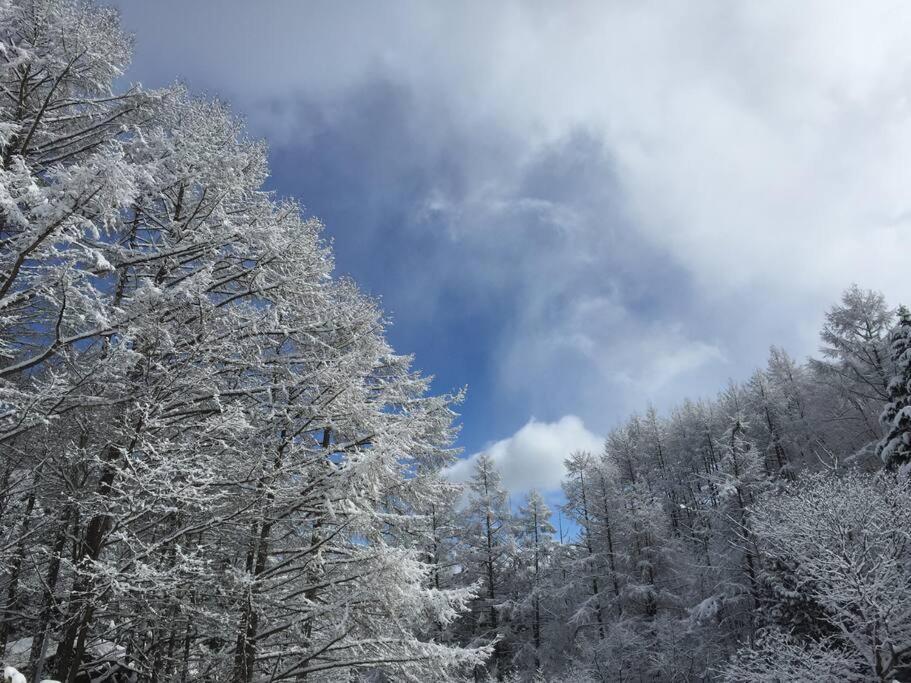 乗鞍高原の宿テンガロンハットb&Btengallonhat Matsumoto Dış mekan fotoğraf