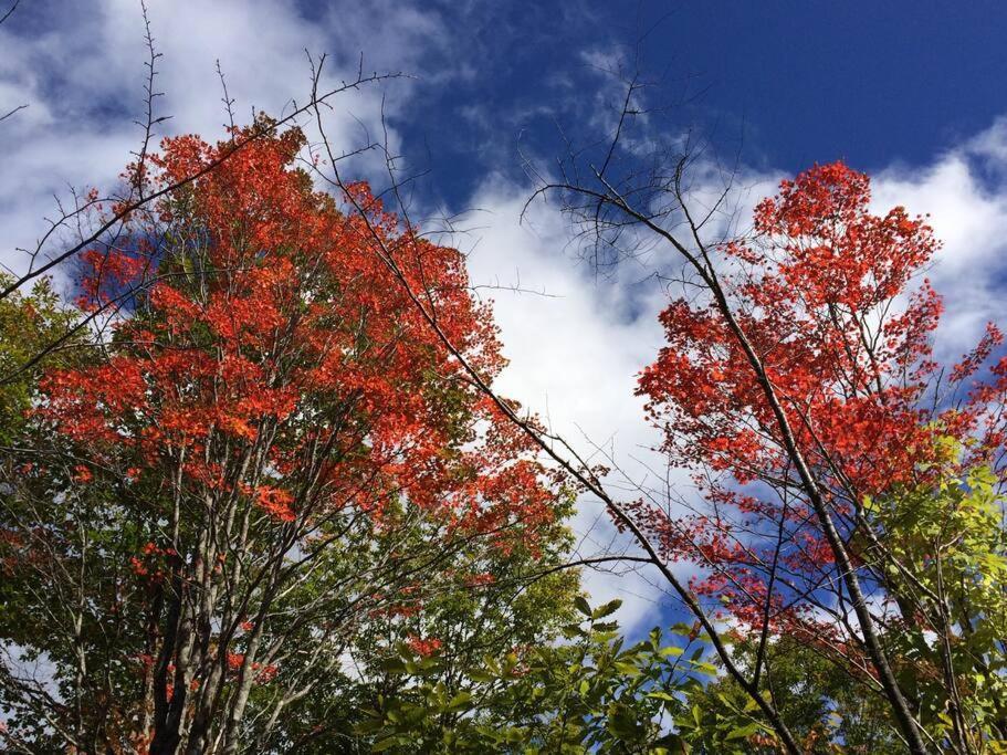 乗鞍高原の宿テンガロンハットb&Btengallonhat Matsumoto Dış mekan fotoğraf