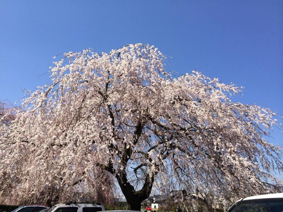 乗鞍高原の宿テンガロンハットb&Btengallonhat Matsumoto Dış mekan fotoğraf